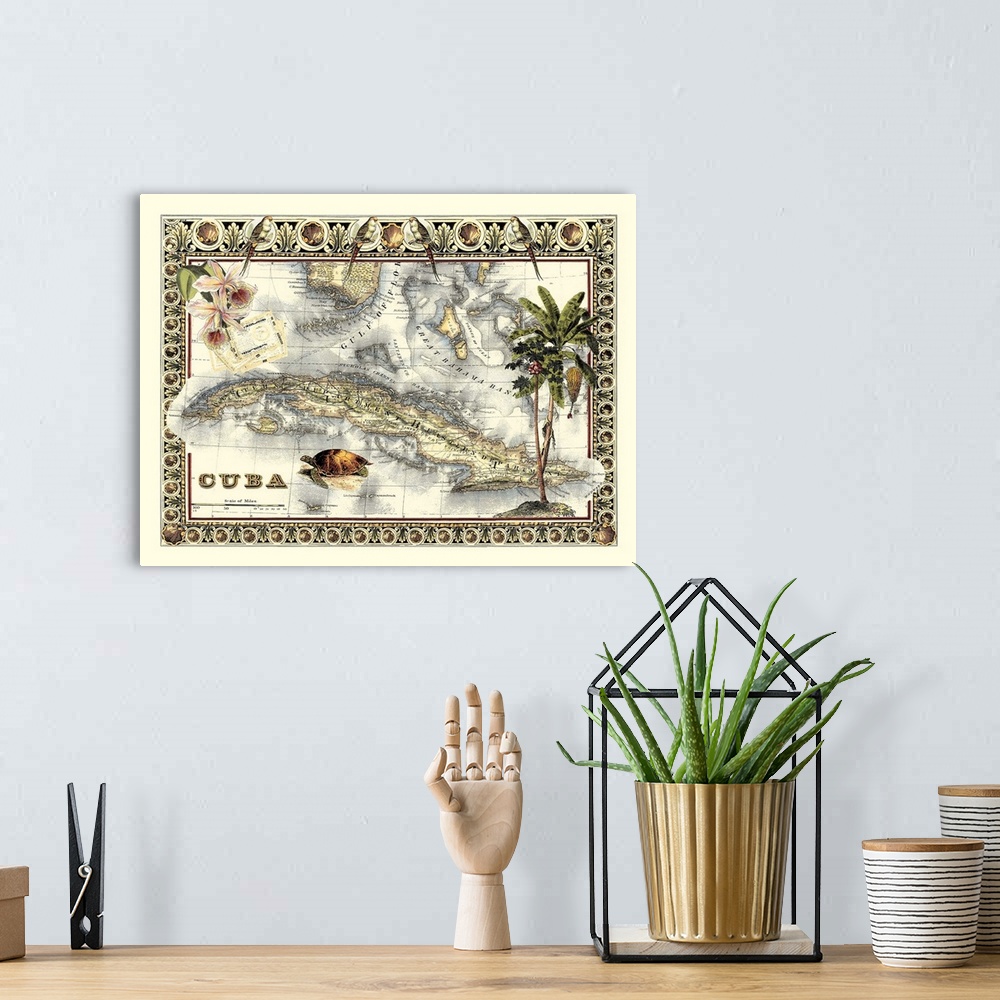A bohemian room featuring Tropical Map of Cuba