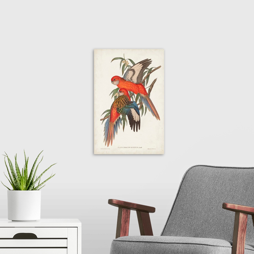 A modern room featuring Tropical Parrots I