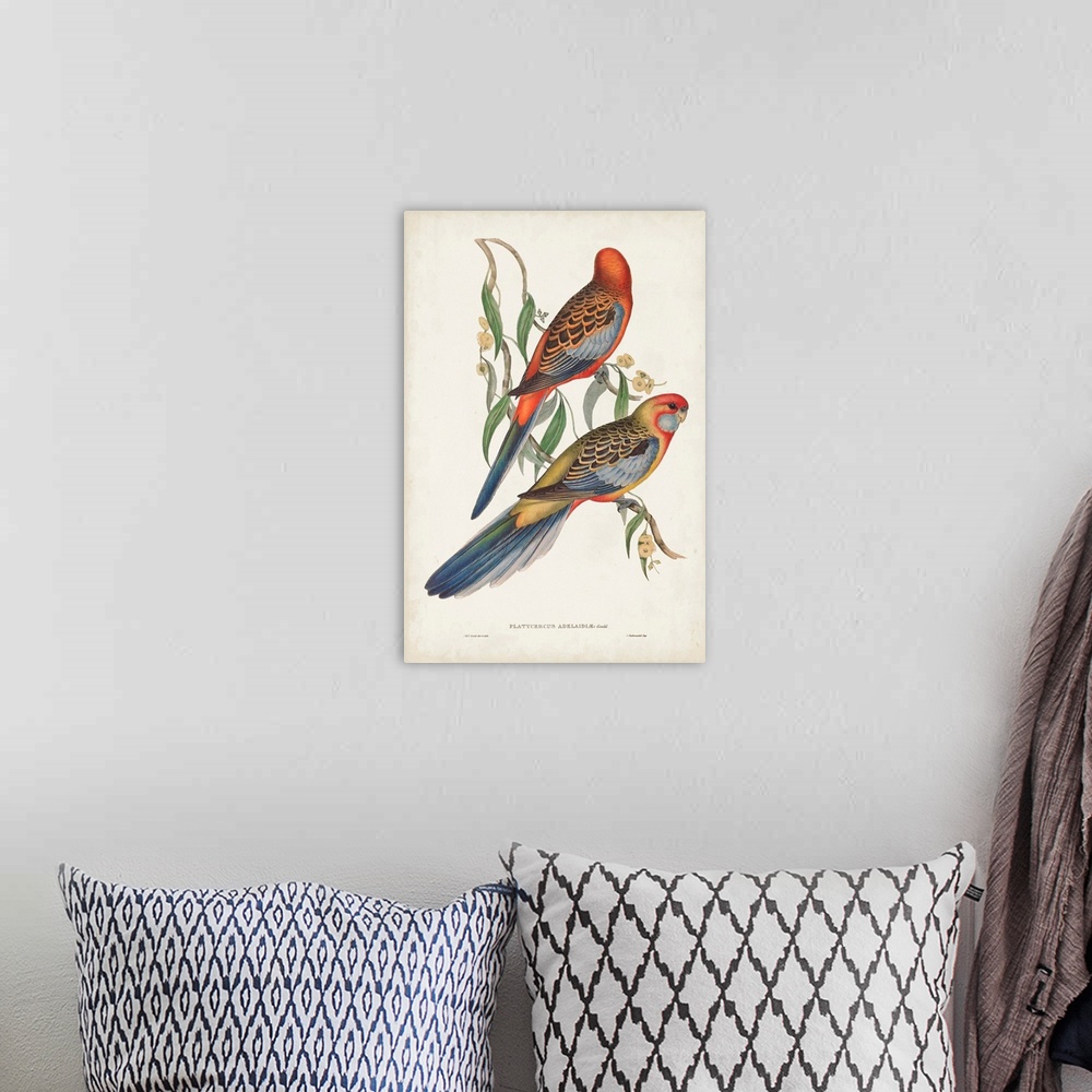 A bohemian room featuring Tropical Parrots II