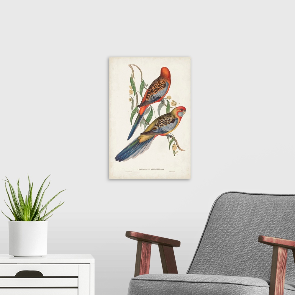 A modern room featuring Tropical Parrots II