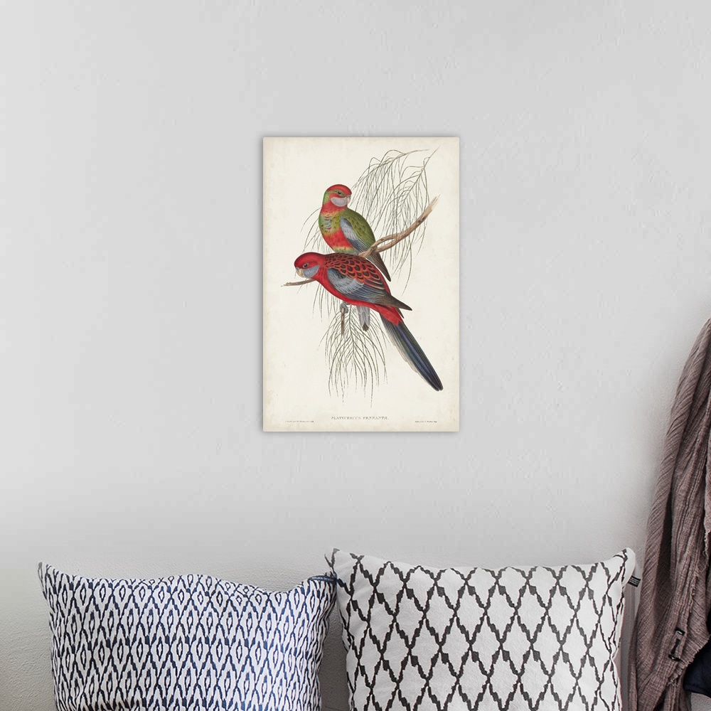 A bohemian room featuring Tropical Parrots III