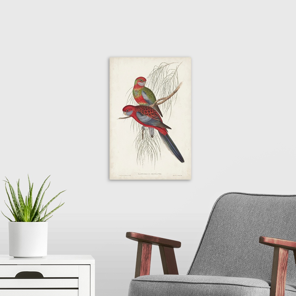 A modern room featuring Tropical Parrots III