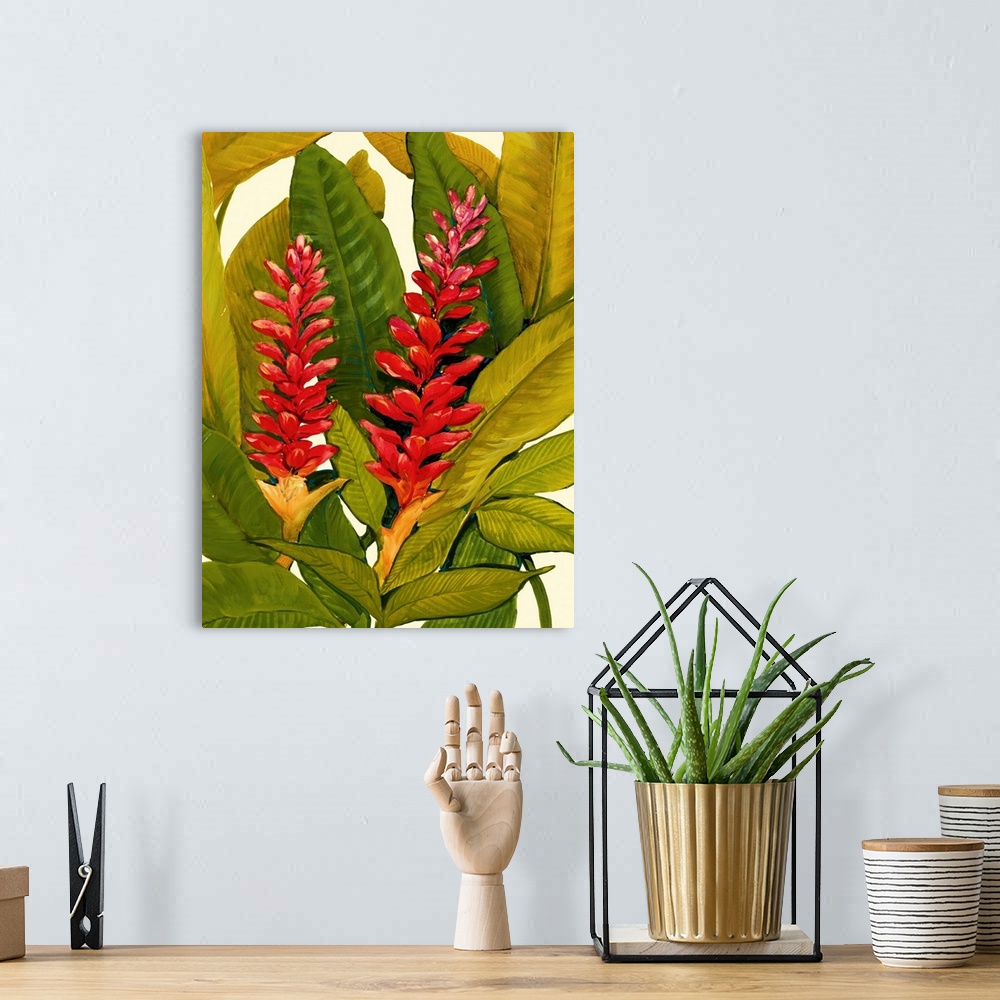 A bohemian room featuring Tropical Red Ginger