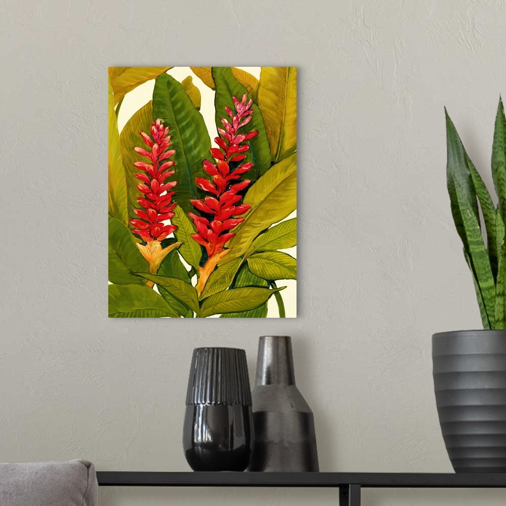A modern room featuring Tropical Red Ginger