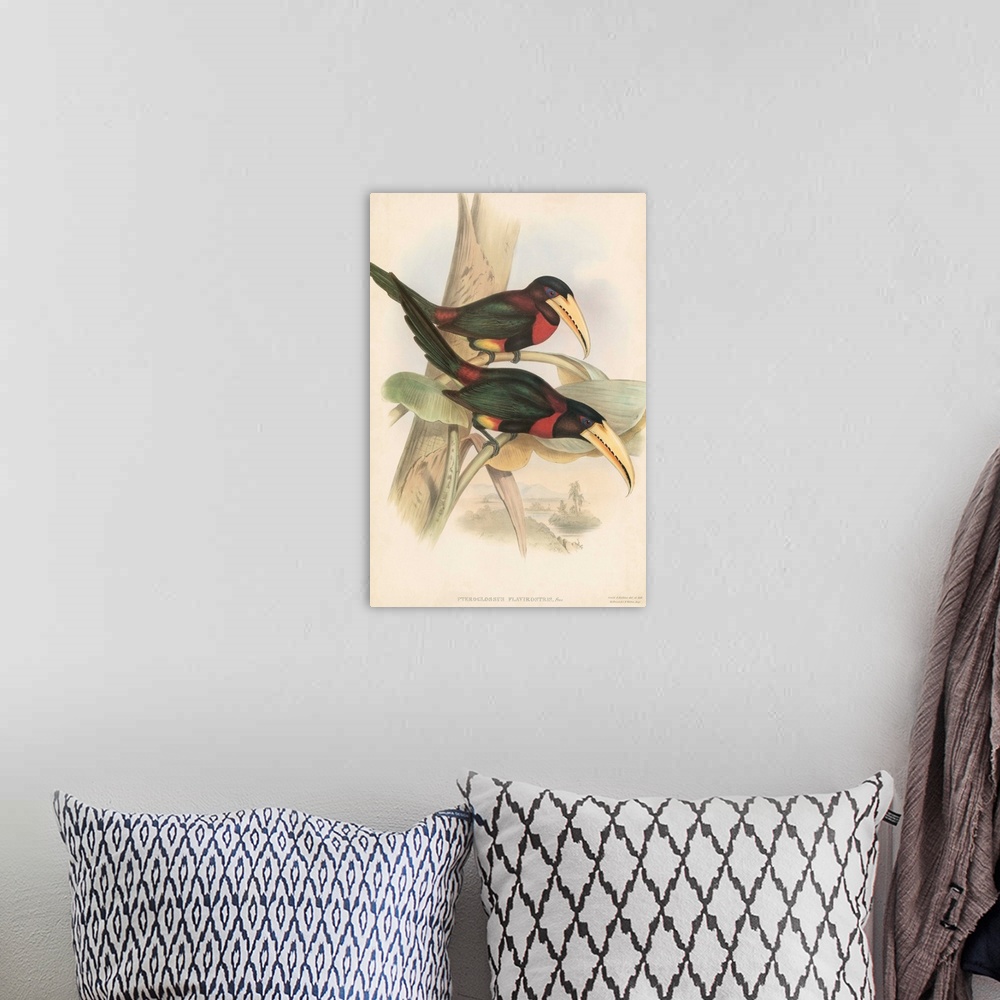 A bohemian room featuring Tropical Toucans VII