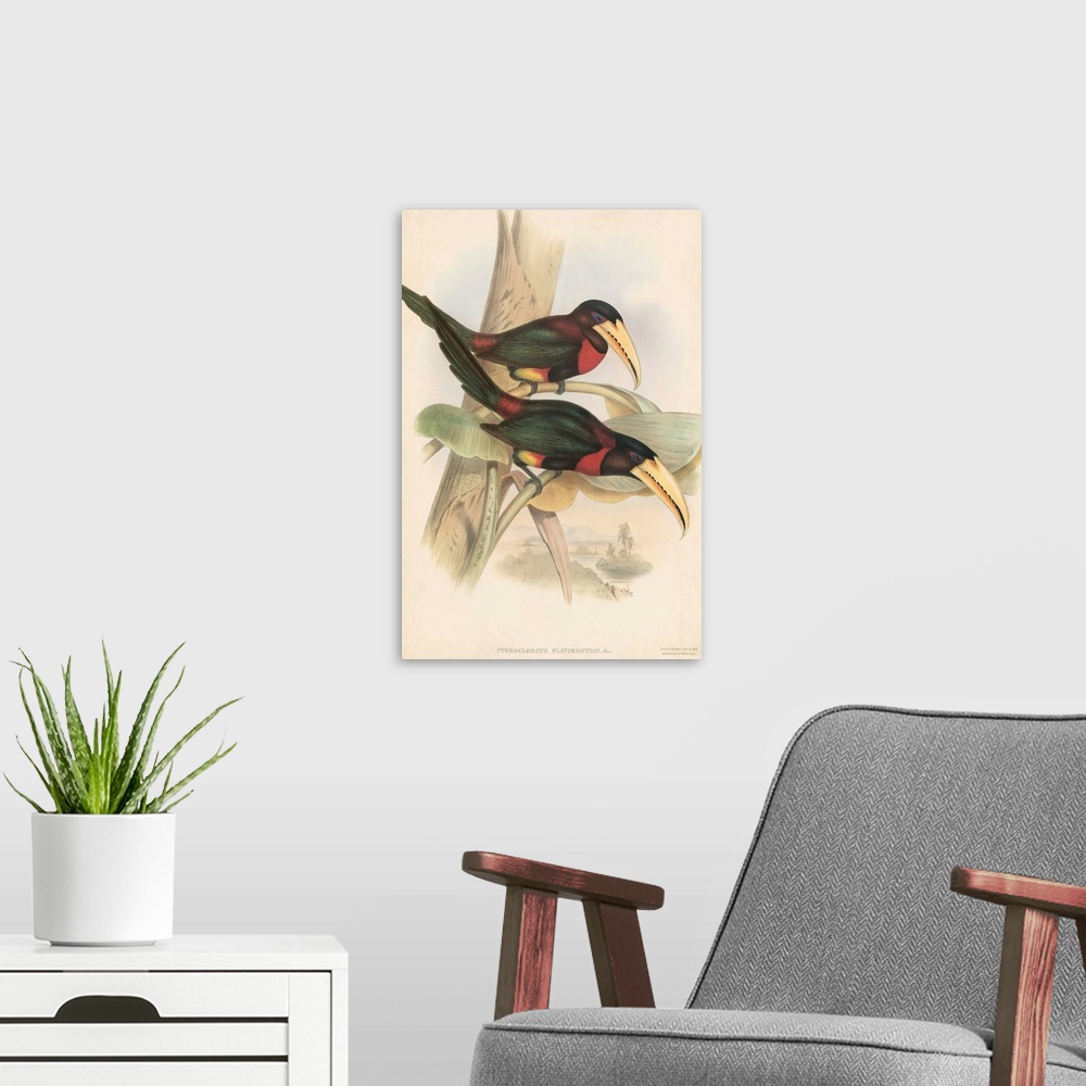 A modern room featuring Tropical Toucans VII