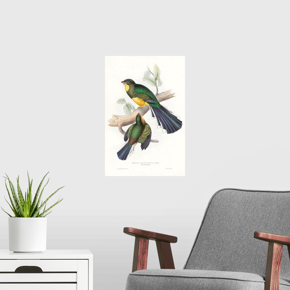 A modern room featuring Tropical Trogons I