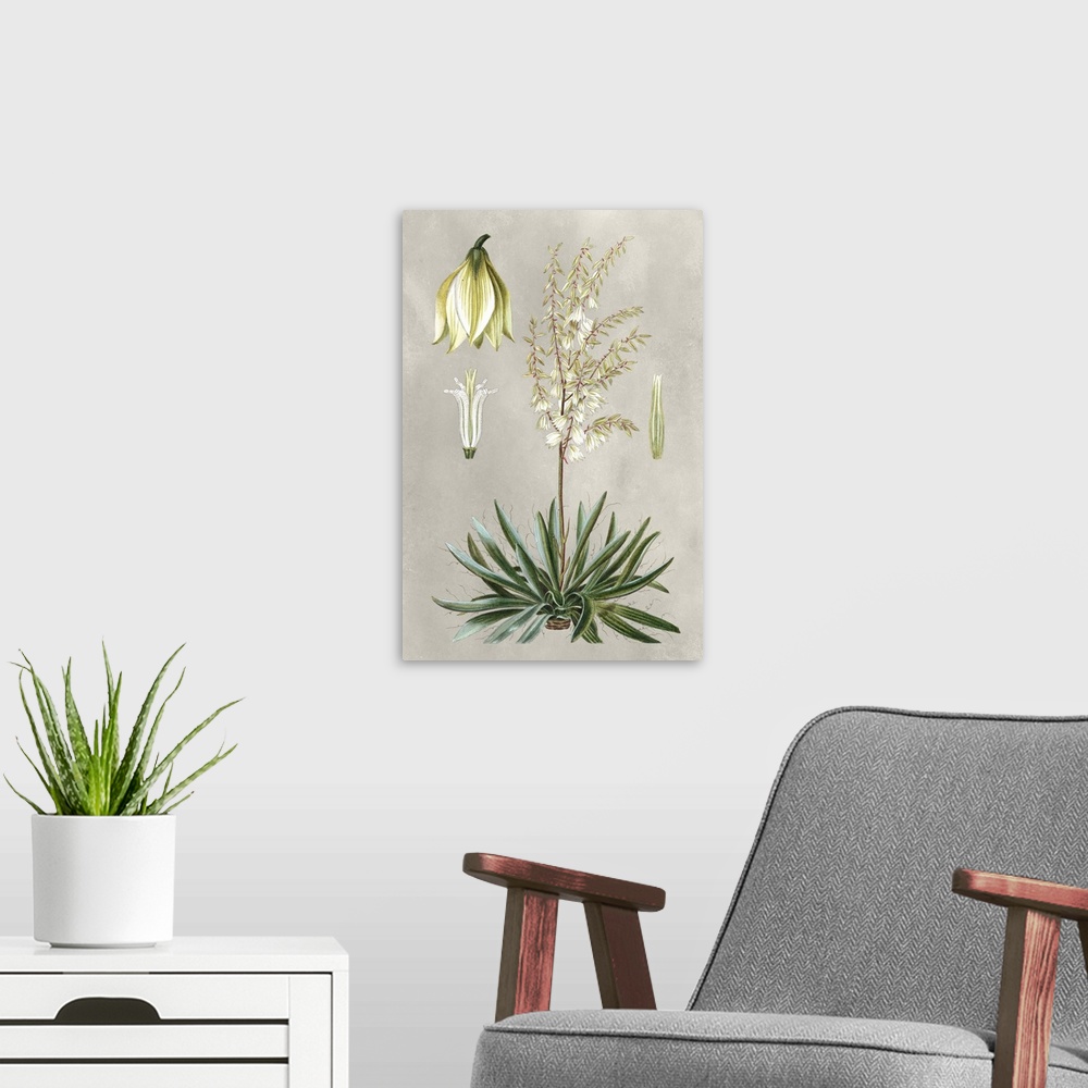 A modern room featuring Illustrated tropical botanicals in shades of green, yellow, and cream on a gray background.
