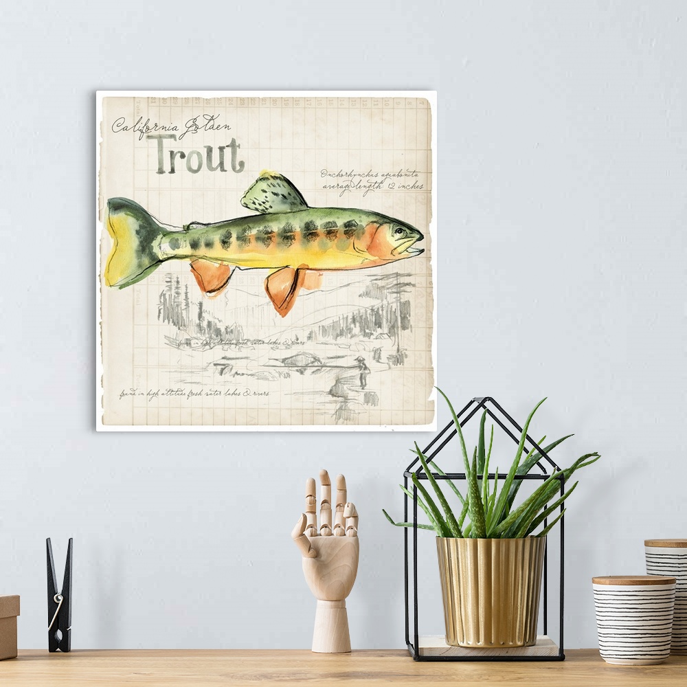 A bohemian room featuring Trout Journal IV