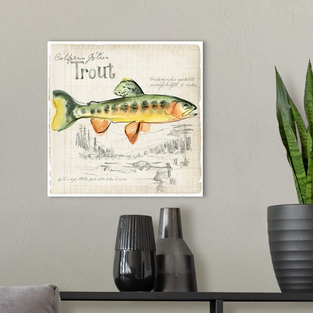 A modern room featuring Trout Journal IV