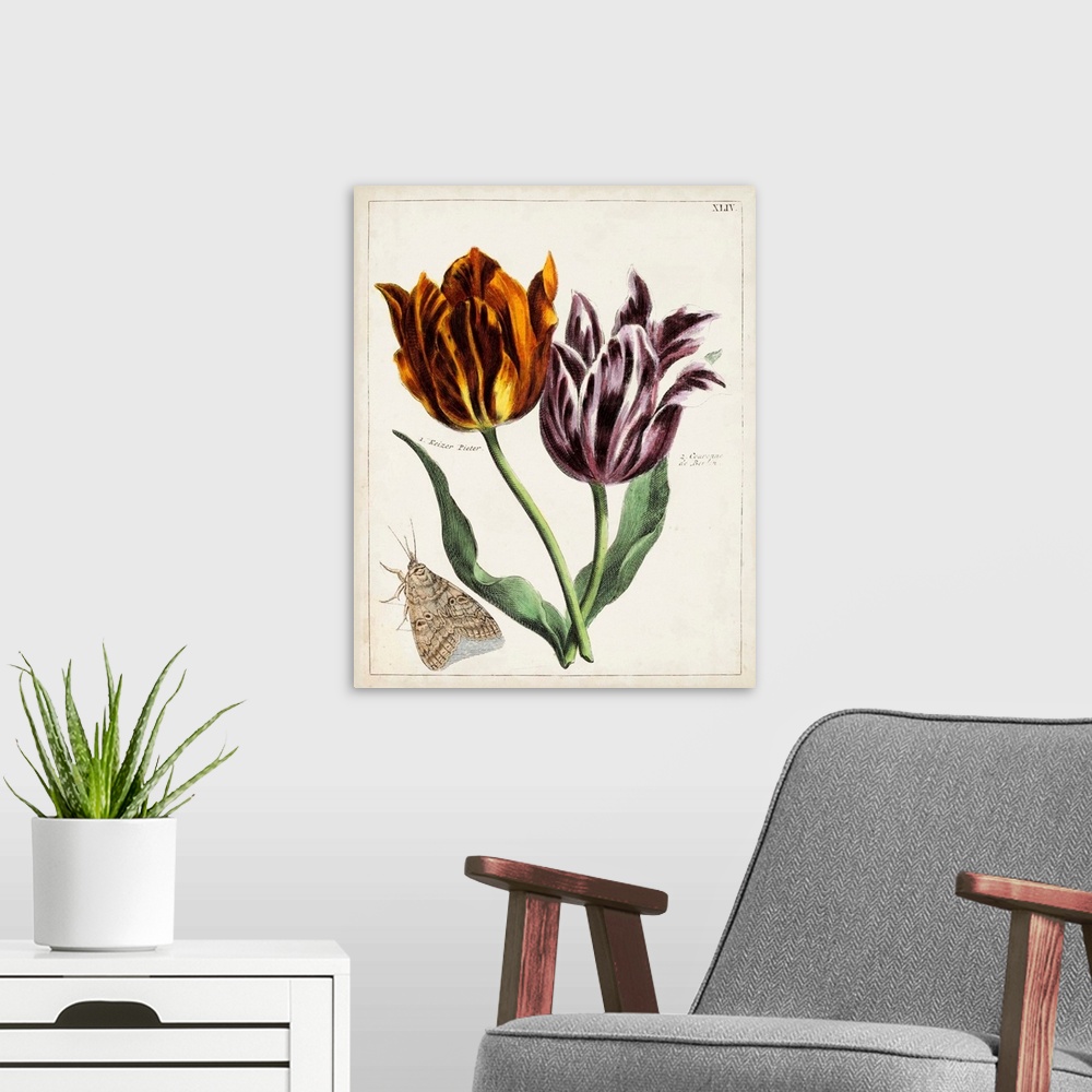 A modern room featuring Tulip Classics I