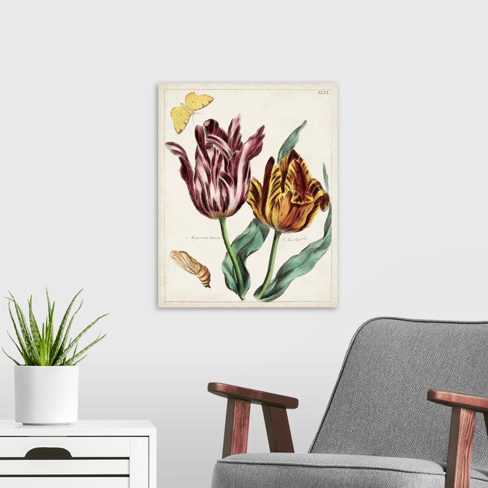 A modern room featuring Tulip Classics II