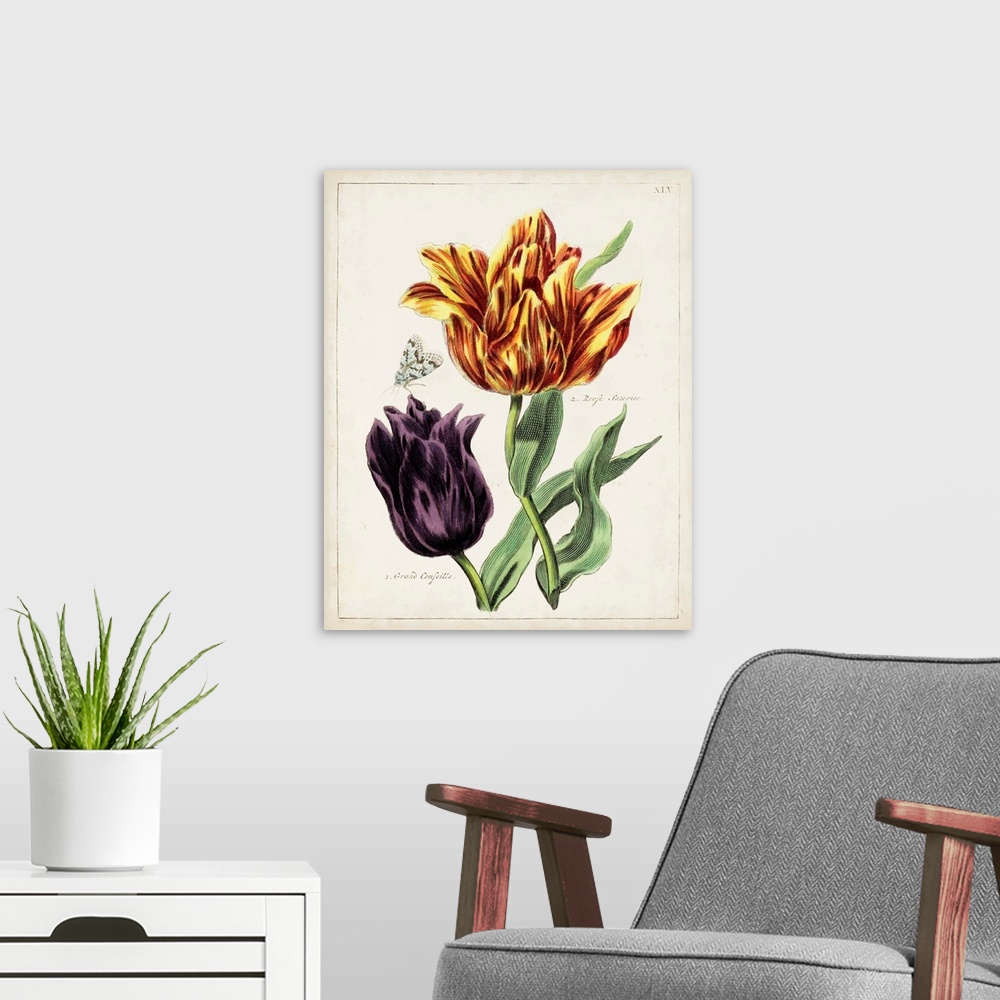 A modern room featuring Tulip Classics III