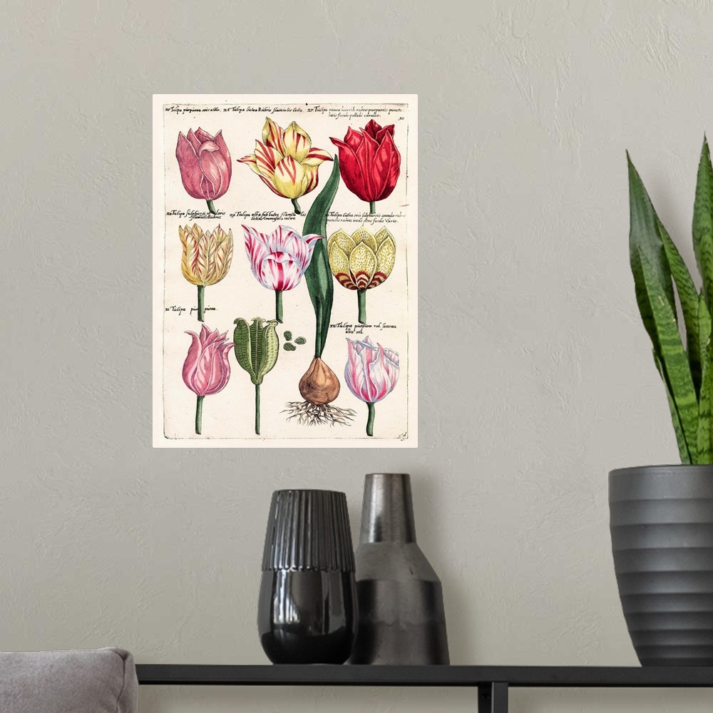 A modern room featuring Tulips En Masse II