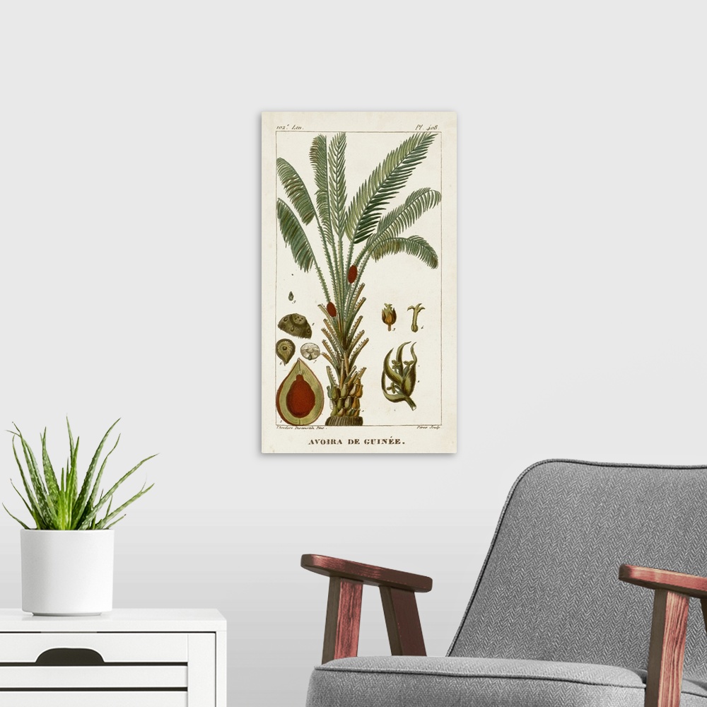 A modern room featuring A decorative vintage illustration of an exotic palm tree.