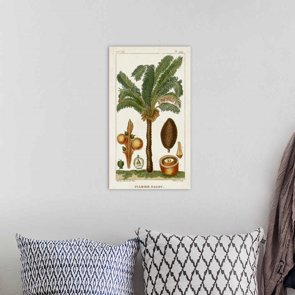 A bohemian room featuring A decorative vintage illustration of an exotic palm tree.