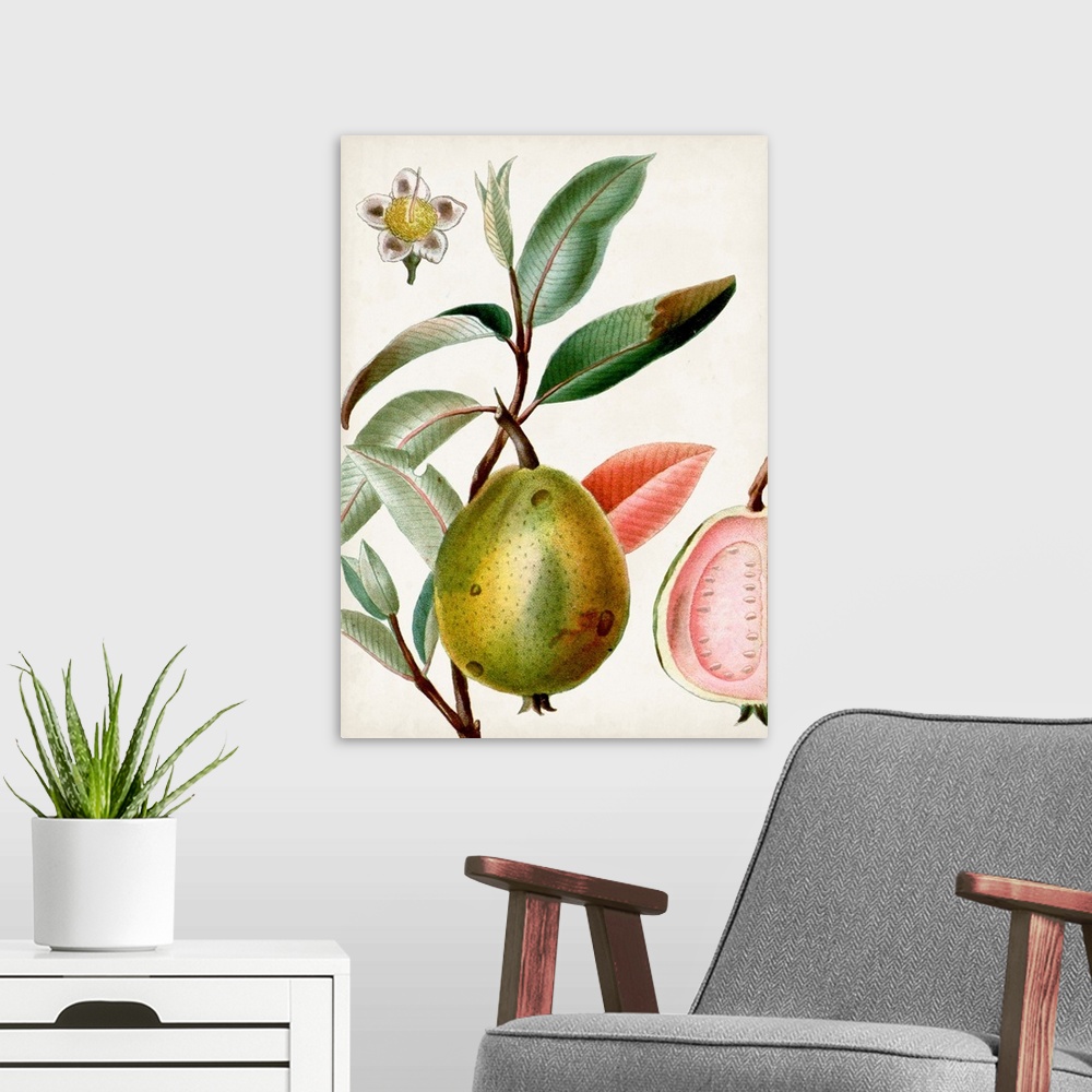 A modern room featuring Turpin Tropical Fruit IX