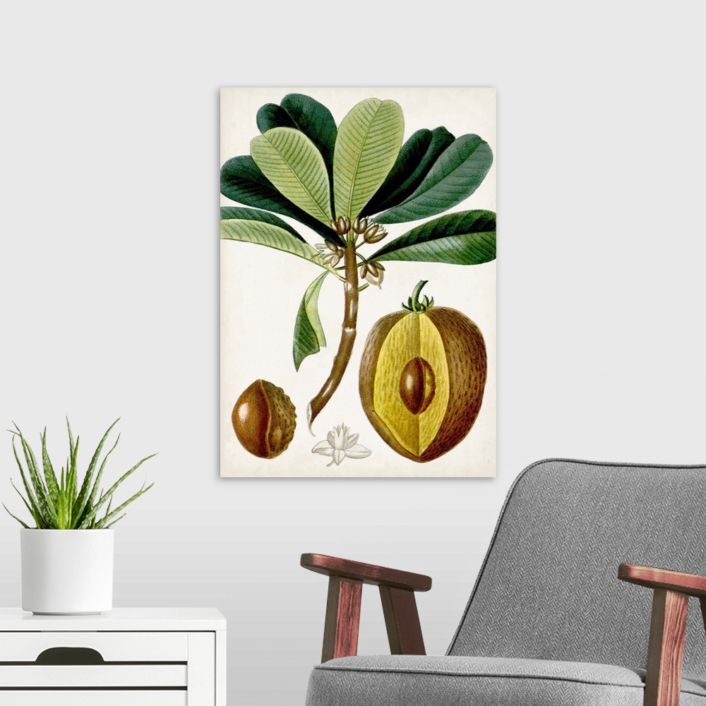 A modern room featuring Turpin Tropical Fruit VI