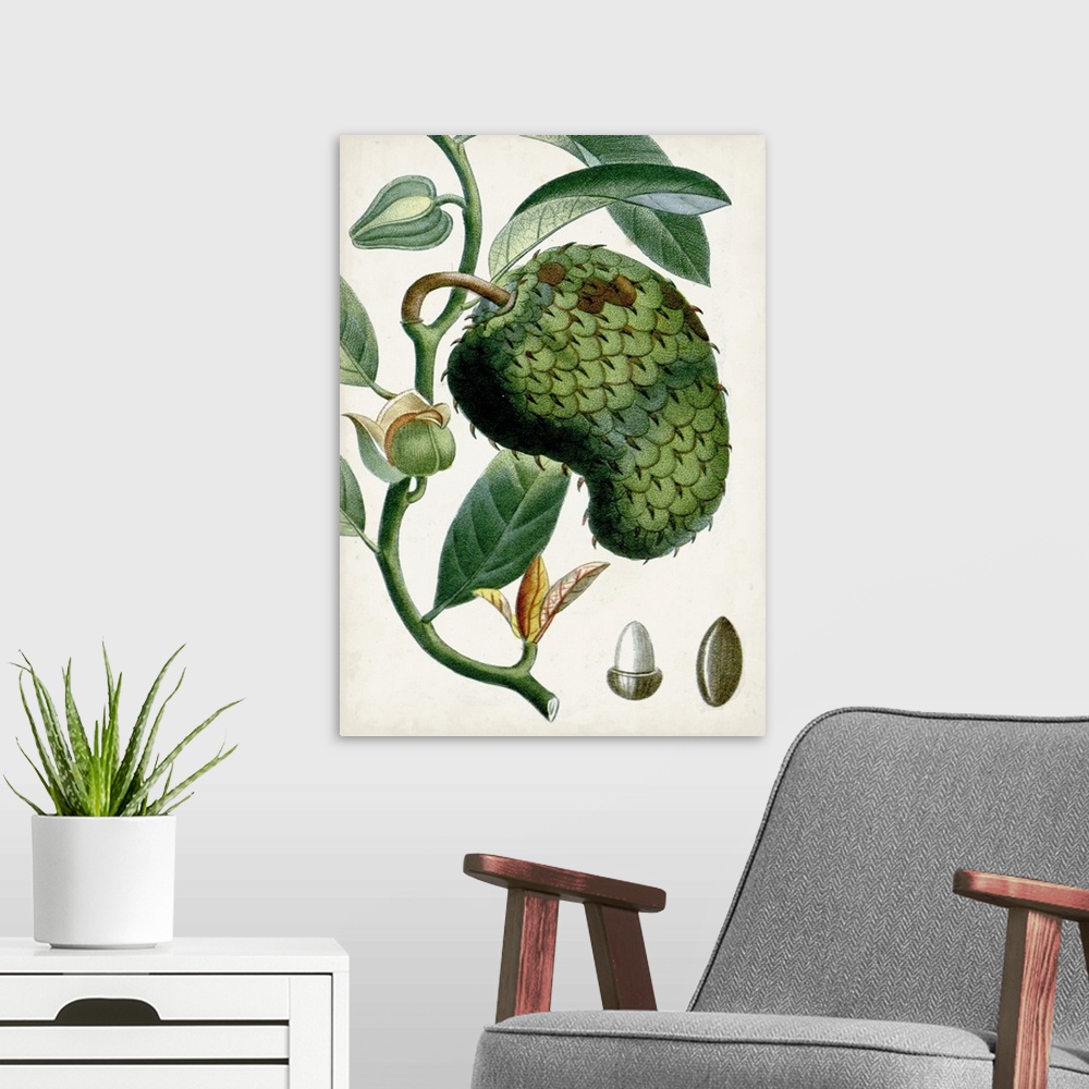 A modern room featuring Turpin Tropical Fruit VIII
