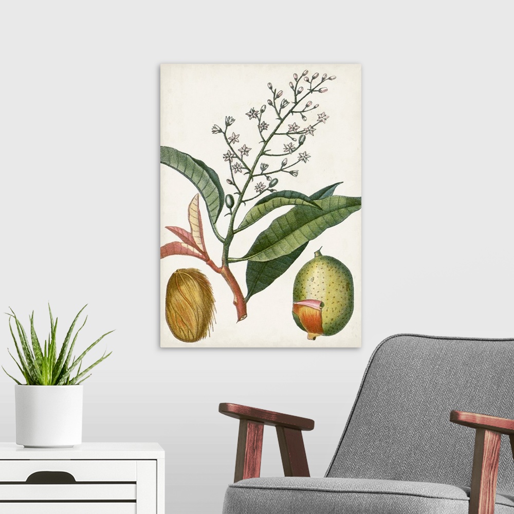A modern room featuring Turpin Tropical Fruit X