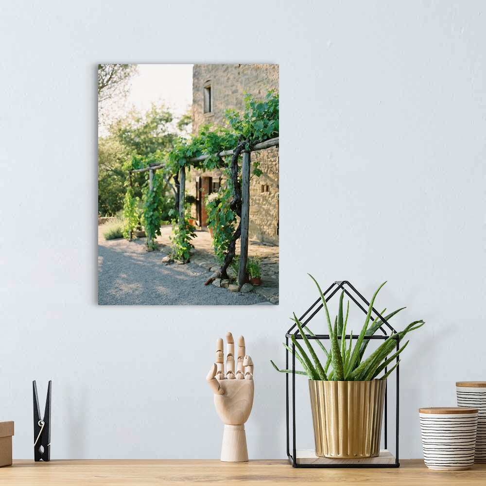 A bohemian room featuring A photograph of grape vines growing on a wooden arbor outside of a Tuscan residence.