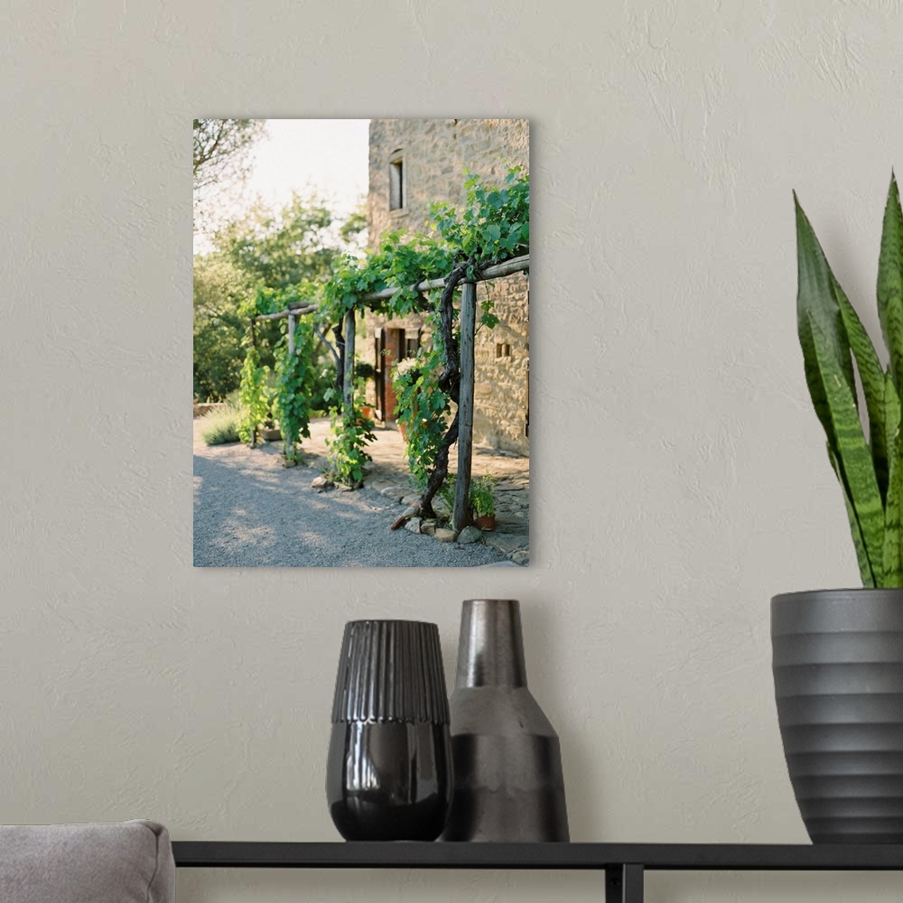 A modern room featuring A photograph of grape vines growing on a wooden arbor outside of a Tuscan residence.