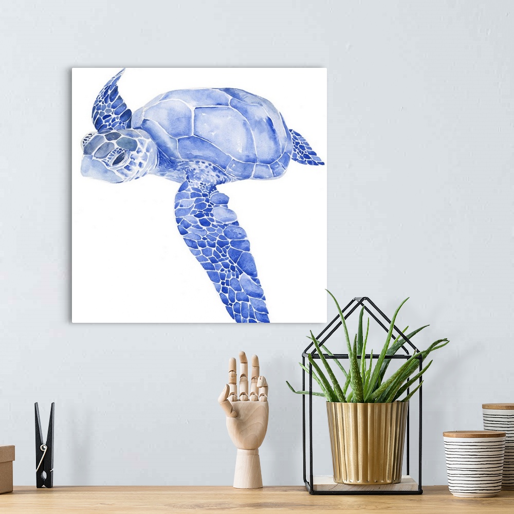 A bohemian room featuring Bright blue watercolor illustration of a sea turtle.