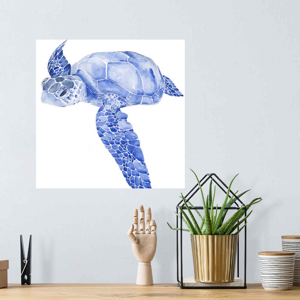 A bohemian room featuring Bright blue watercolor illustration of a sea turtle.
