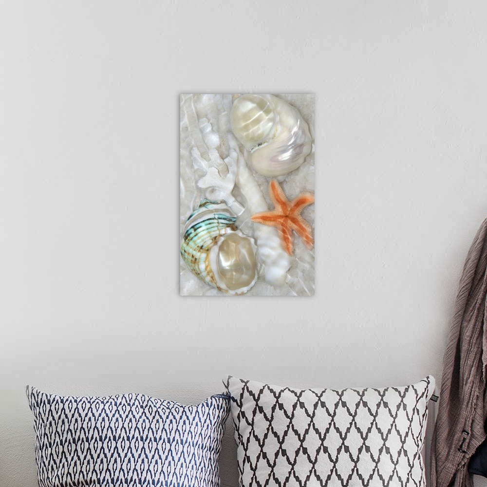 A bohemian room featuring Underwater montage of seashells in the sand with ripples of light.