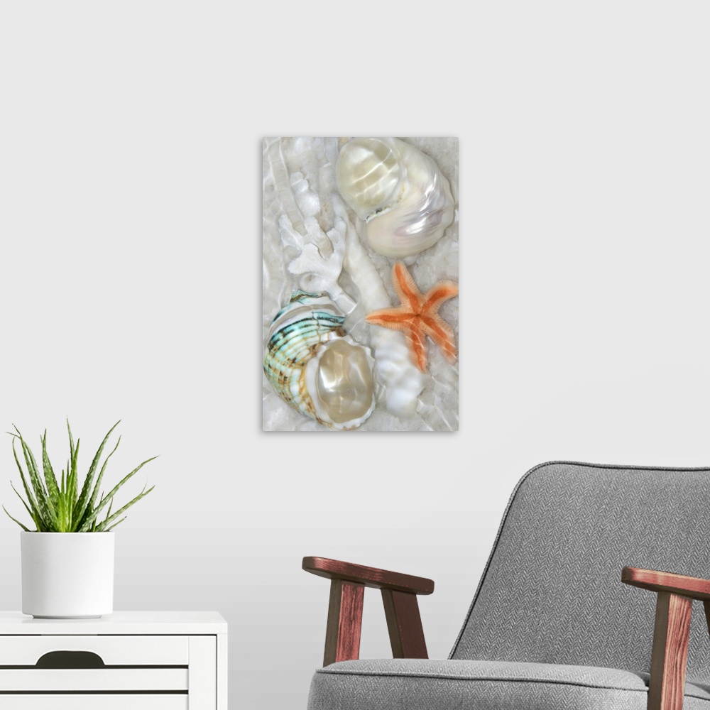 A modern room featuring Underwater montage of seashells in the sand with ripples of light.
