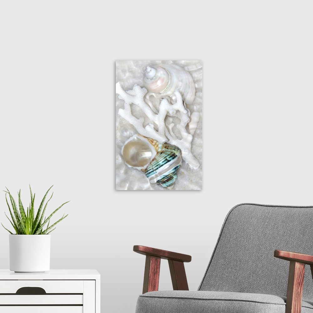 A modern room featuring Underwater montage of seashells in the sand with ripples of light.