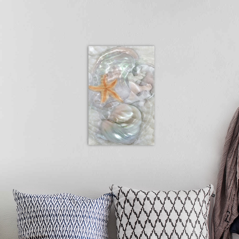 A bohemian room featuring Underwater montage of seashells in the sand with ripples of light.