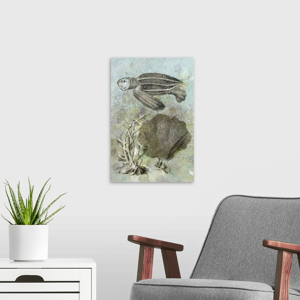 A modern room featuring Contemporary artwork featuring an illustrated turtle and coral on pastel distressed background.