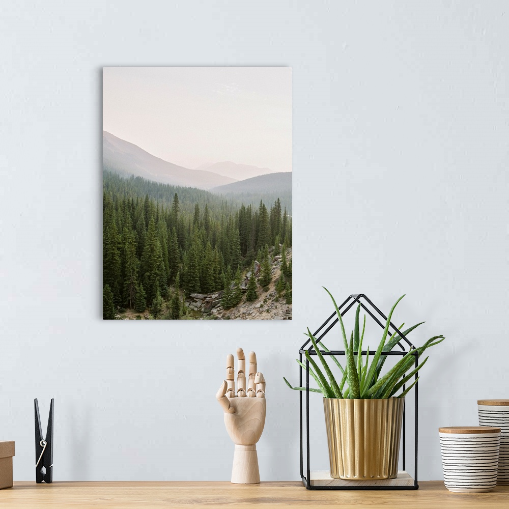A bohemian room featuring Photograph of a huge stretch of evergreen trees in a valley, Lake Louise, Canada