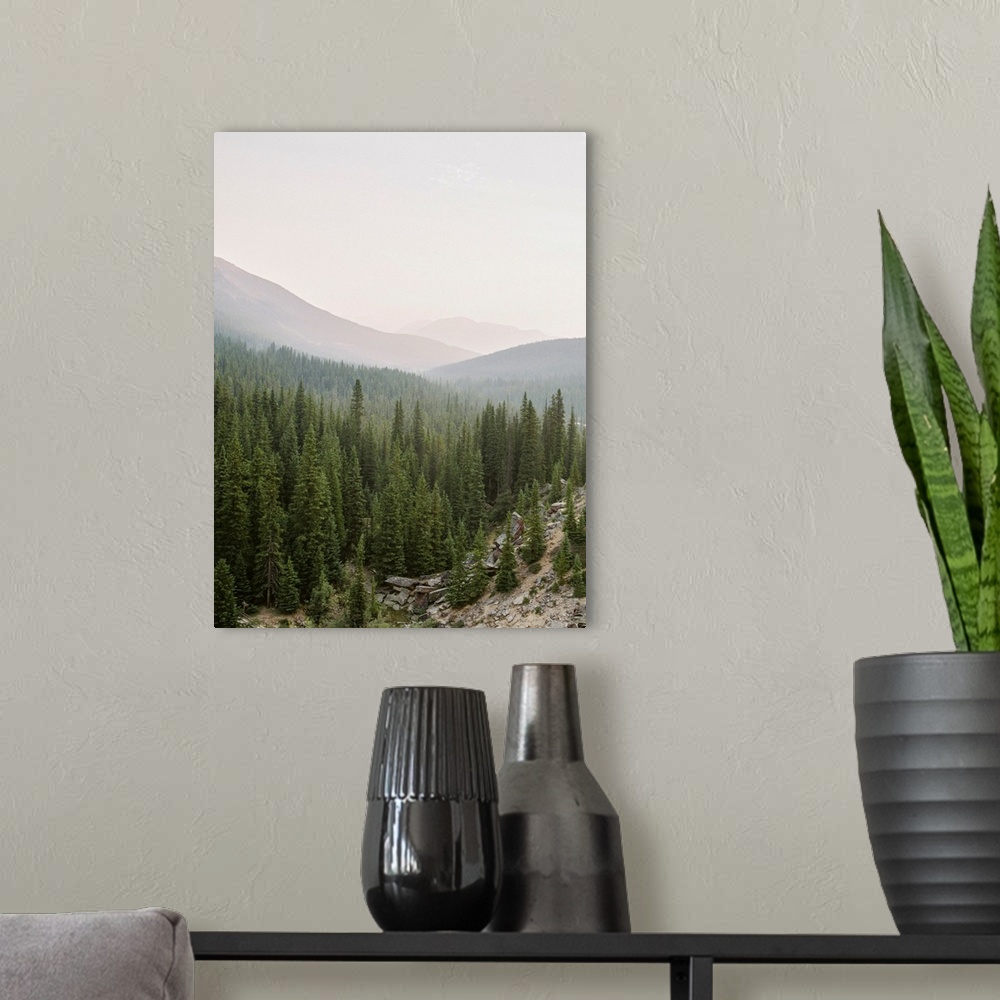 A modern room featuring Photograph of a huge stretch of evergreen trees in a valley, Lake Louise, Canada