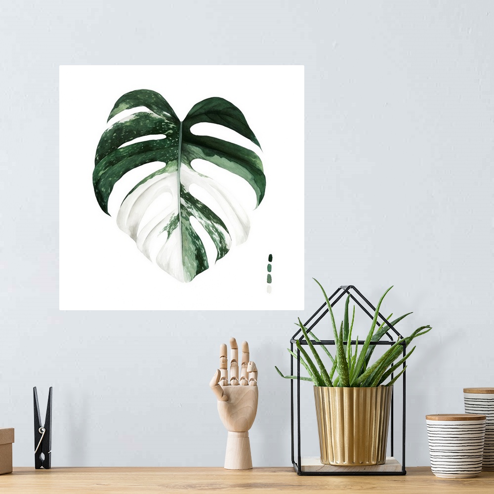 A bohemian room featuring Variegated Monstera I