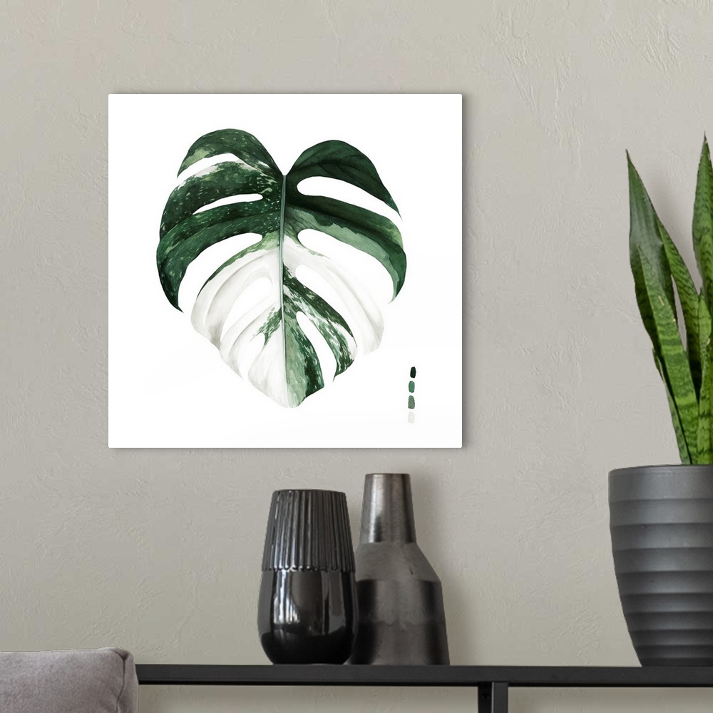 A modern room featuring Variegated Monstera I