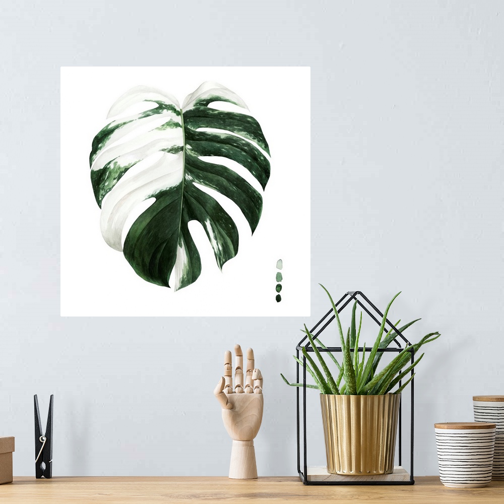 A bohemian room featuring Variegated Monstera II