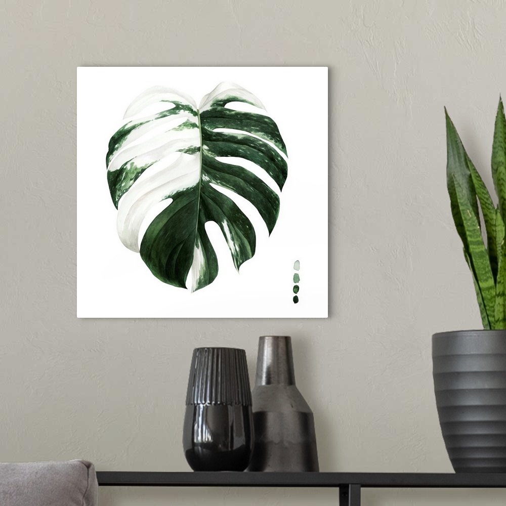 A modern room featuring Variegated Monstera II