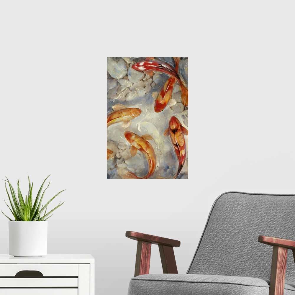 A modern room featuring A group of bright red and orange fish swimming in a pond with a rocky floor.