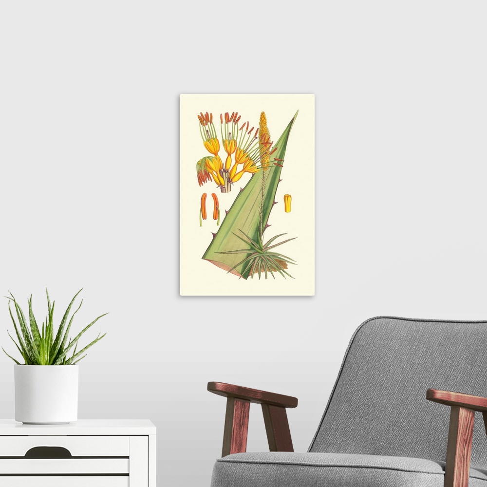 A modern room featuring Vibrant Tropicals II