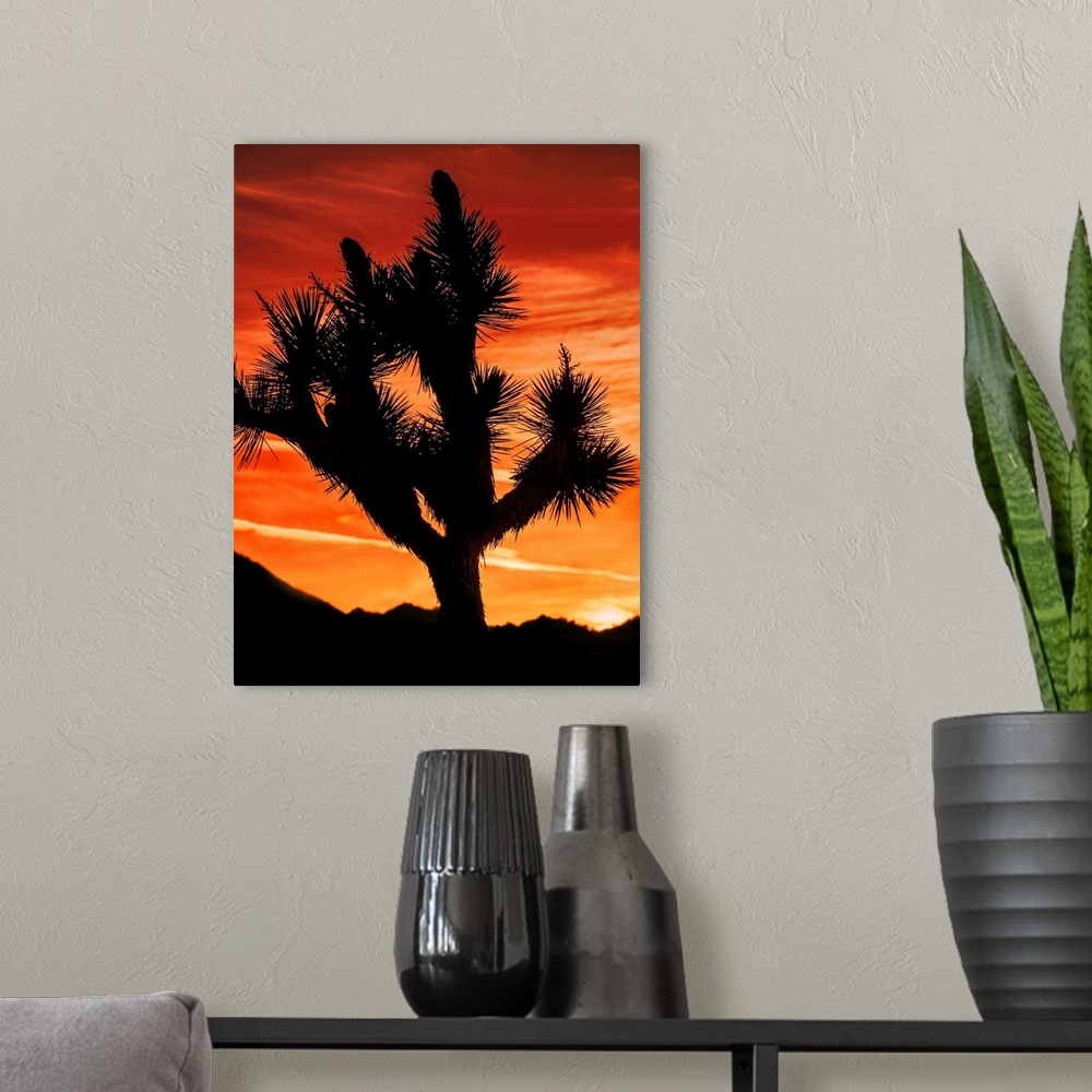 A modern room featuring Photograph of a silhouetted joshua tree in the desert in California.