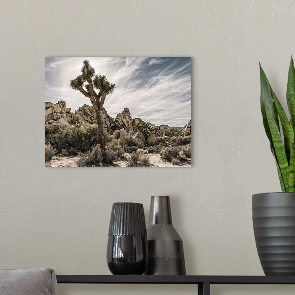 A modern room featuring Muted photograph of the desert plants and Joshua trees in Joshua Tree National Park, California.