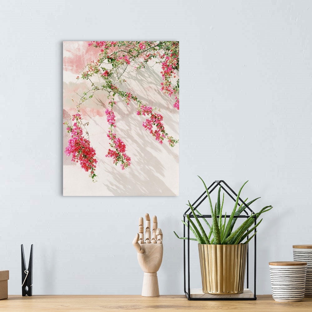 A bohemian room featuring Photograph of bright pink flowering stems against a white wall, Santorini, Greece.