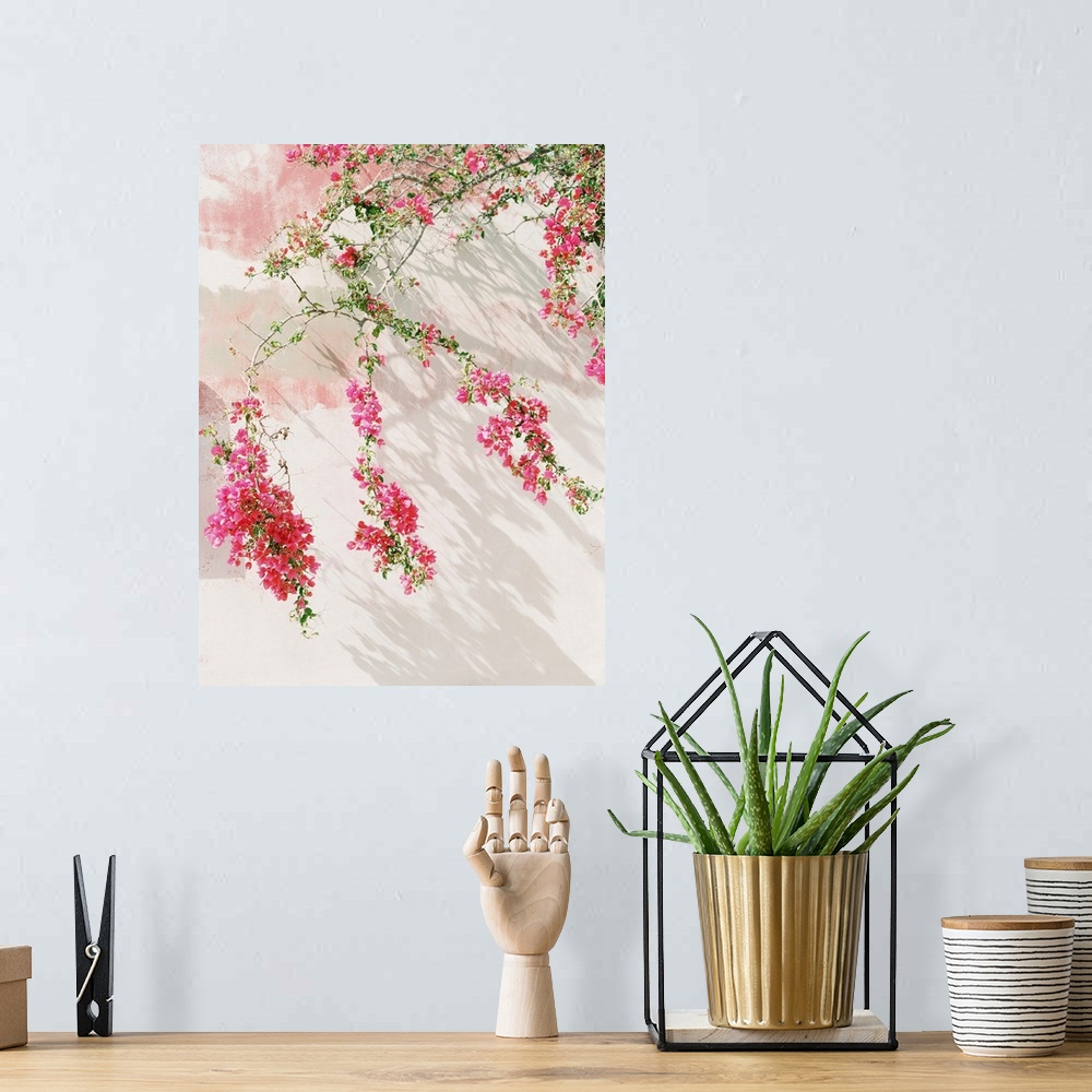 A bohemian room featuring Photograph of bright pink flowering stems against a white wall, Santorini, Greece.