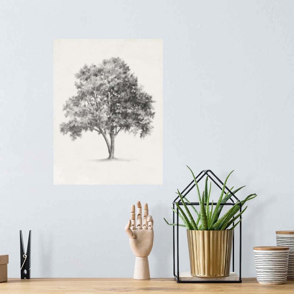 A bohemian room featuring Pencil drawing of a tree on a parchment background.