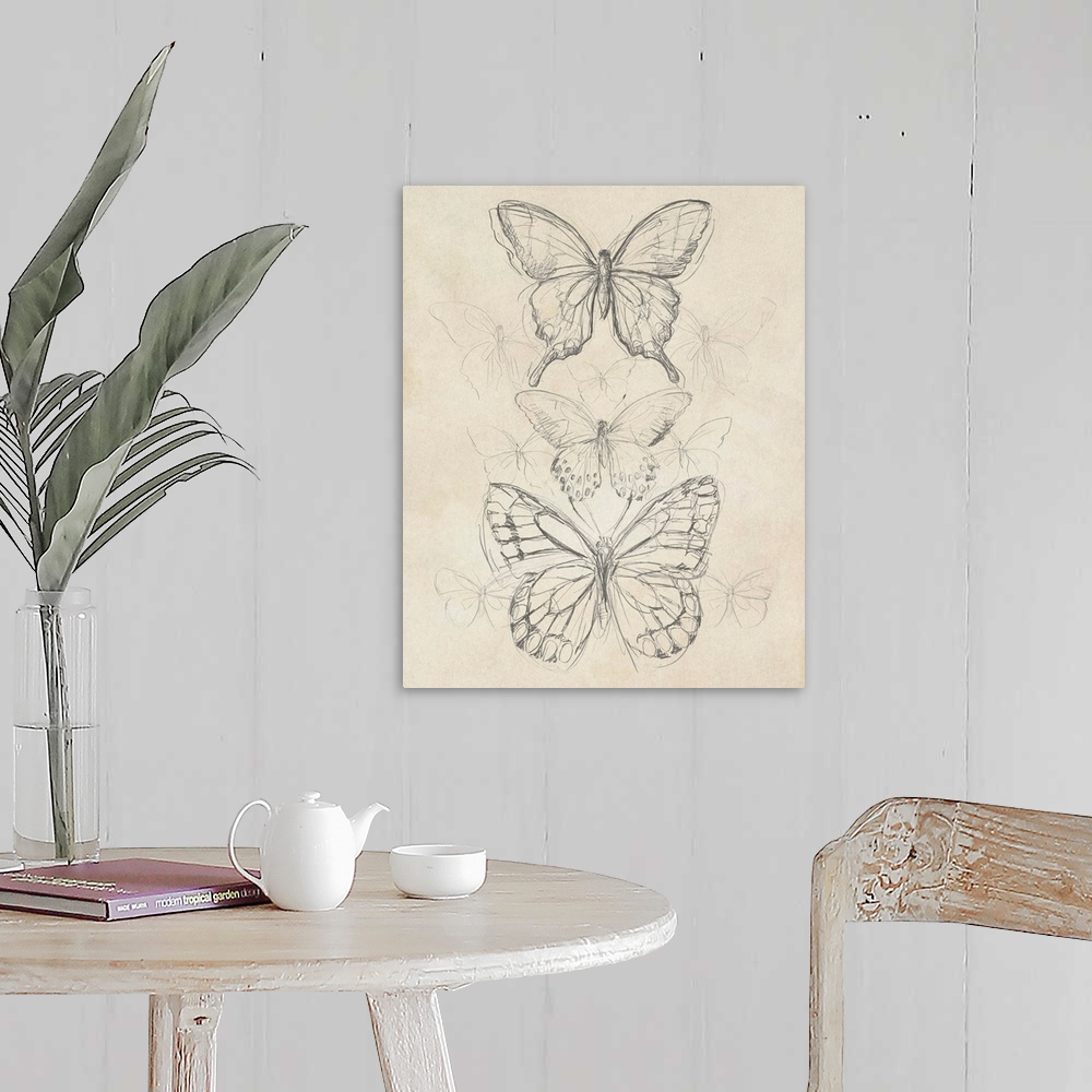 A farmhouse room featuring Vintage Butterfly Sketch II
