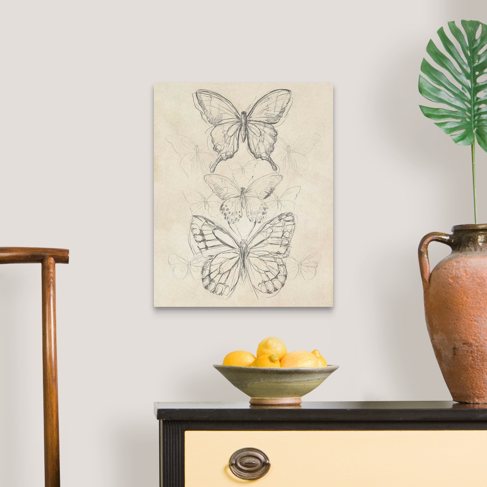 A traditional room featuring Vintage Butterfly Sketch II