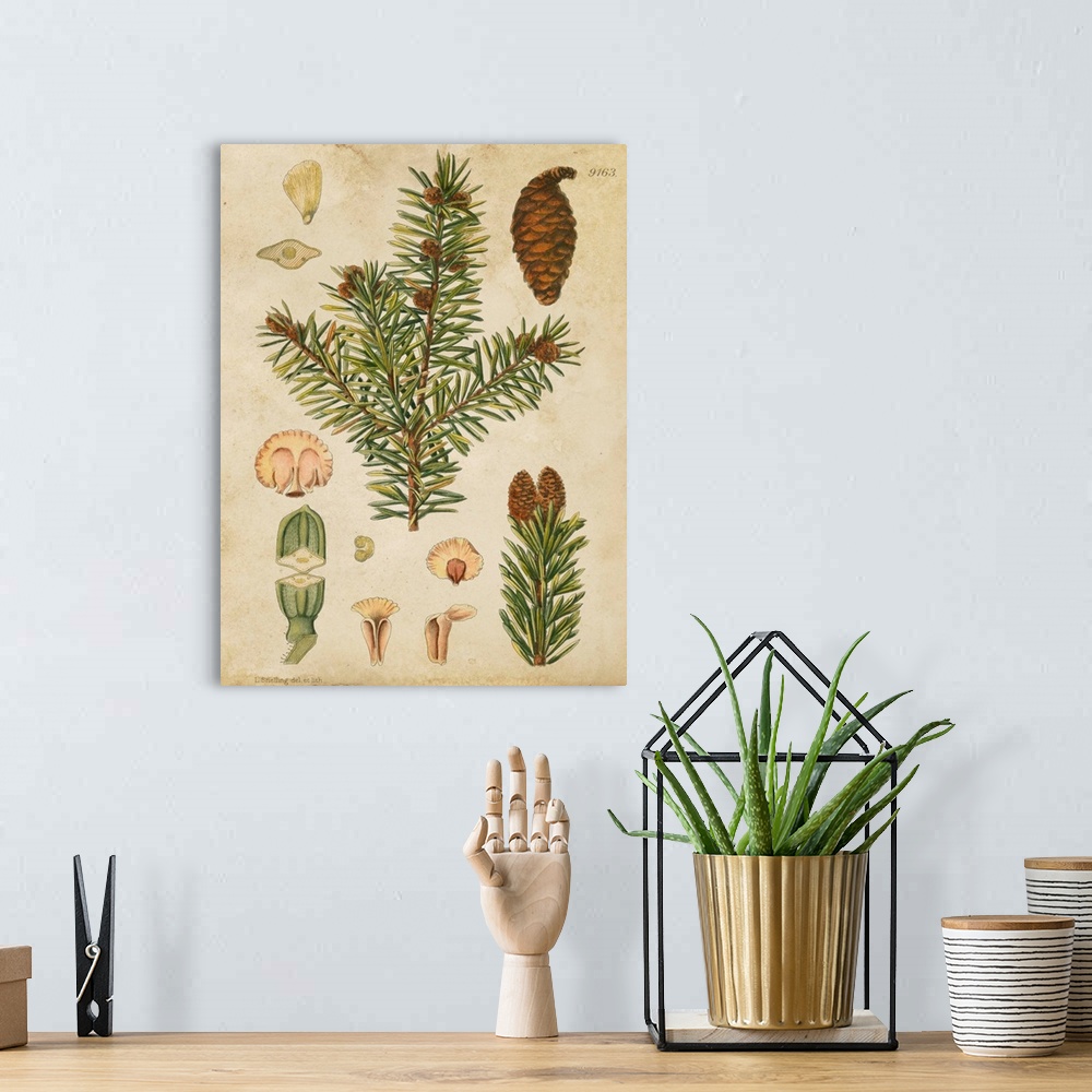 A bohemian room featuring Vintage Conifers III