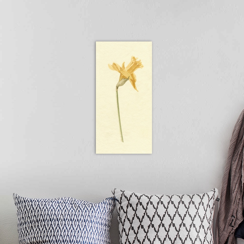 A bohemian room featuring Vintage Daffodil II